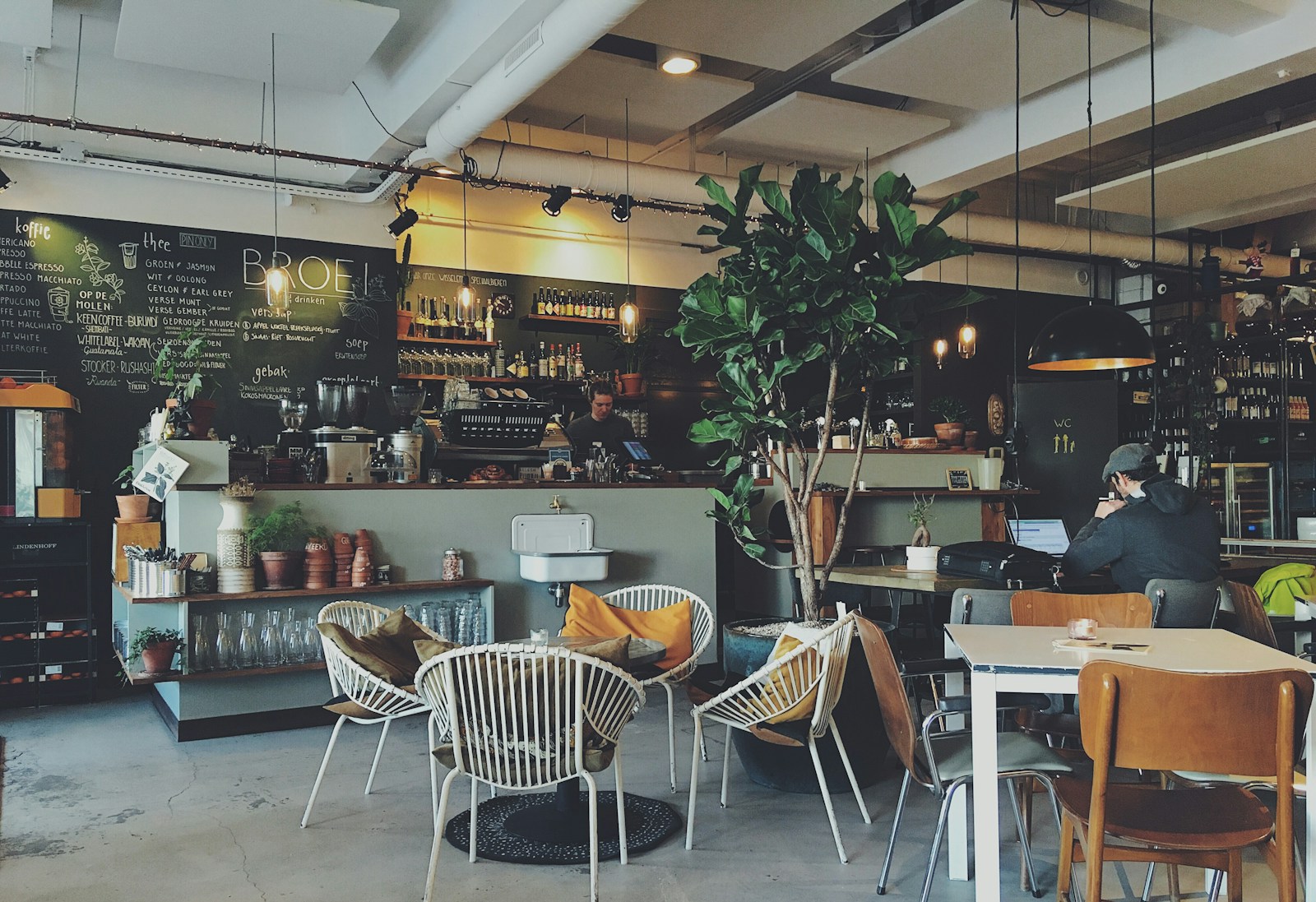 Slow Coffee Sustentável: cafeteria com plantas e ambiente natural